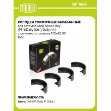Колодки тормозные барабанные для автомобилей Iveco Daily (99-)/Daily (06-)/Daily (11-) стояночного тормоза 170x42 GF 1665 TRIALLI