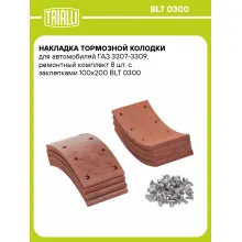 Накладка тормозной колодки для автомобилей ГАЗ 3307-3309, ремонтный комплект 8 шт. с заклепками 100х200 BLT 0300 TRIALLI