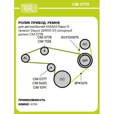 Ролик привод. ремня для автомобилей КАМАЗ Евро-5 (Dayco 26900-21) (опорный ролик) CM 0778 TRIALLI
