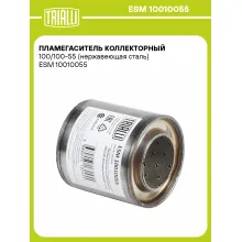 Пламегаситель коллекторный 100/100-55 (нержавеющая сталь) ESM 10010055 TRIALLI
