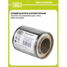 Пламегаситель коллекторный 100/120-55 (нержавеющая сталь) ESM 10012055 TRIALLI