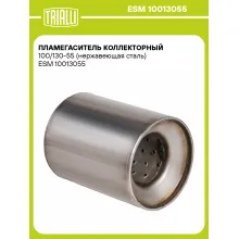 Пламегаситель коллекторный 100/130-55 (нержавеющая сталь) ESM 10013055 TRIALLI
