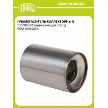 Пламегаситель коллекторный 100/140-55 (нержавеющая сталь) ESM 10014055 TRIALLI