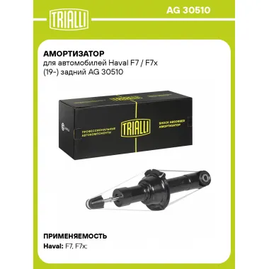 Амортизатор задний для Haval F7 / F7x (19-) AG 30510