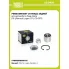 Ремкомплект ступицы задней для автомобиля Лада Vesta (15-)/Renault Logan (07-) CS 0975 TRIALLI