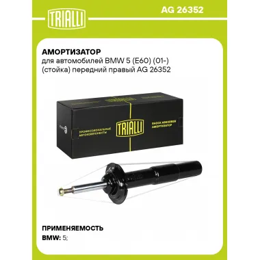 Амортизатор для BMW 5 (E60) (01-) (стойка) передний правый