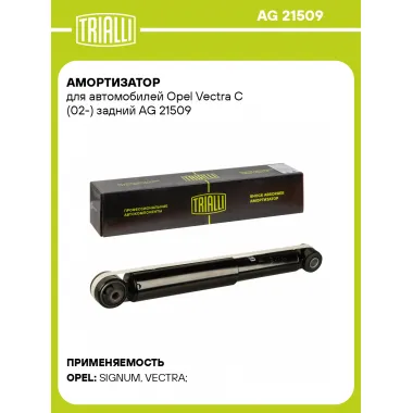 Амортизатор для Opel Vectra C (02-) задний
