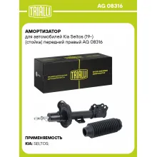 Амортизатор для Kia Seltos (19-) (стойка) передний правый