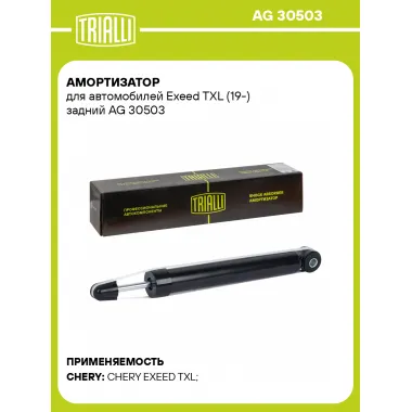 Амортизатор для Exeed TXL (19-) задний