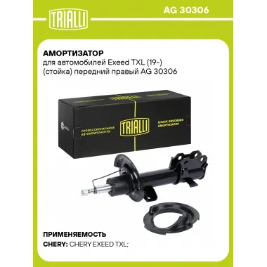Амортизатор для Exeed TXL (19-) (стойка) передний правый