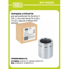 Поршень суппорта для автомобилей Kia Sorento II (09-) / Hyundai Santa Fe II (06-) / III (12-) задний d=43мм RCF 202202 TRIALLI