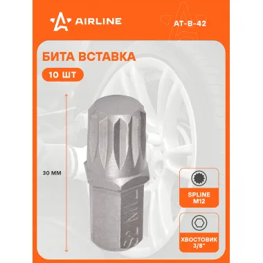 Бита вставка SPLINE M12 3/8