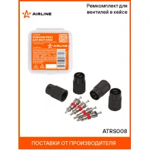 Ремкомплект для вентилей (4 золотника, 4 колпачка на вентиль с ключом) в кейсе AIRLINE ATRS008