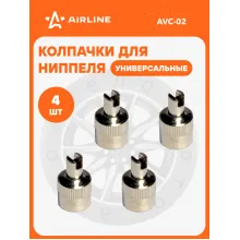 Колпачки на ниппель 4 шт авто, мотоциклов, велосипедов, колясок, хром / колпачки на шинный вентиль с ключом металл