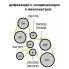 Ролик привод. ремня для автомобилей Toyota Lfnd Cruiser Prado (02-)/Hilux (97-) 2.5d/3.0d [KD] (опорный) верхний компрессора кондиционера CM 1915 TRIALLI
