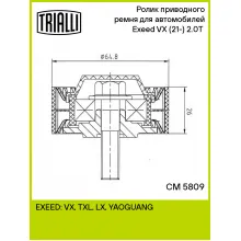 Ролик приводного ремня для автомобилей Exeed VX (21-) 2.0T (опорный) CM 5809 TRIALLI