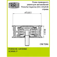 Ролик приводного ремня для автомобилей Porsche Cayenne (02-) 4.5i/4.8i (опорный) справа CM 7246 TRIALLI Ролик приводного ремня для автомобилей Porsche Cayenne (02-) 4.5i/4.8i (опорный) справа CM 7246 TRIALLI