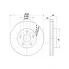 Диски тормозные для автомобилей VW Polo Sedan (RUS) (10-) ZC передние d=288 PRO (перфорированные / слотированные) DF 2037s TRIALLI