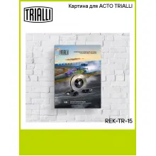 Картина для АСТО TRIALLI REK-TR-15 TRIALLI