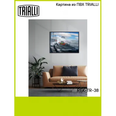Картина из ПВХ TRIALLI REK-TR-38 TRIALLI