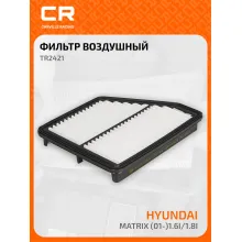 Фильтр воздушный для автомобилей Hyundai MATRIX TR2421 TR2421