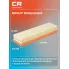 Фильтр воздушный для автомобилей Citroen C4, Peugeot (206, 206+, 307), фильтр-патрон CARVILLE RACING TR36010