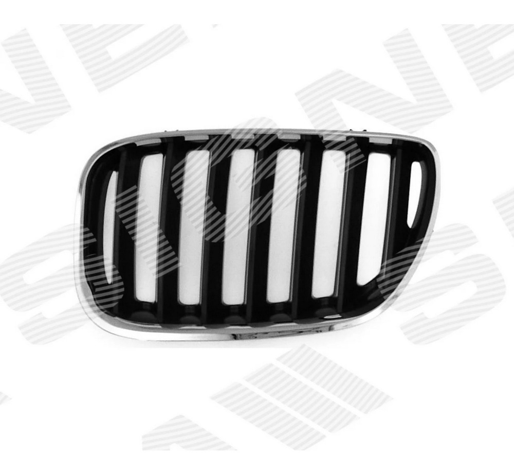 Решетка радиатора (левая) для BMW X5 (E53) Решетка радиатора (левая) для BMW X5 (E53)