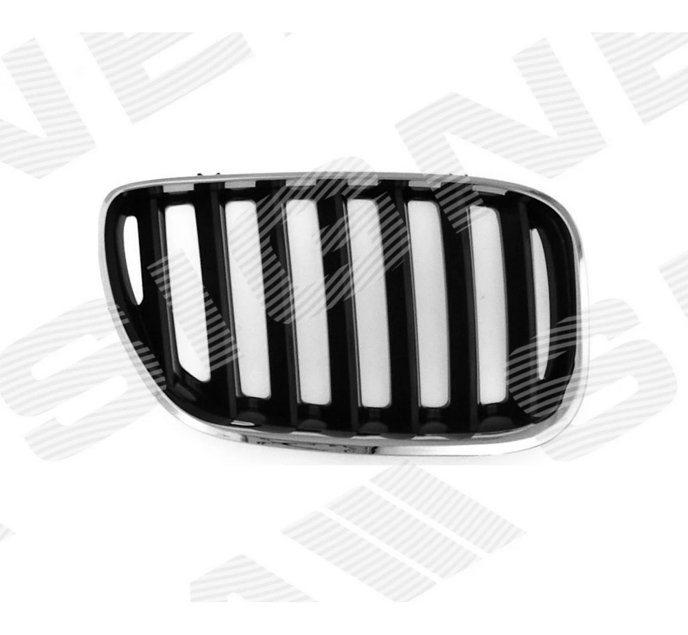 Решетка радиатора (правая) для BMW X5 (E53) Решетка радиатора (правая) для BMW X5 (E53)