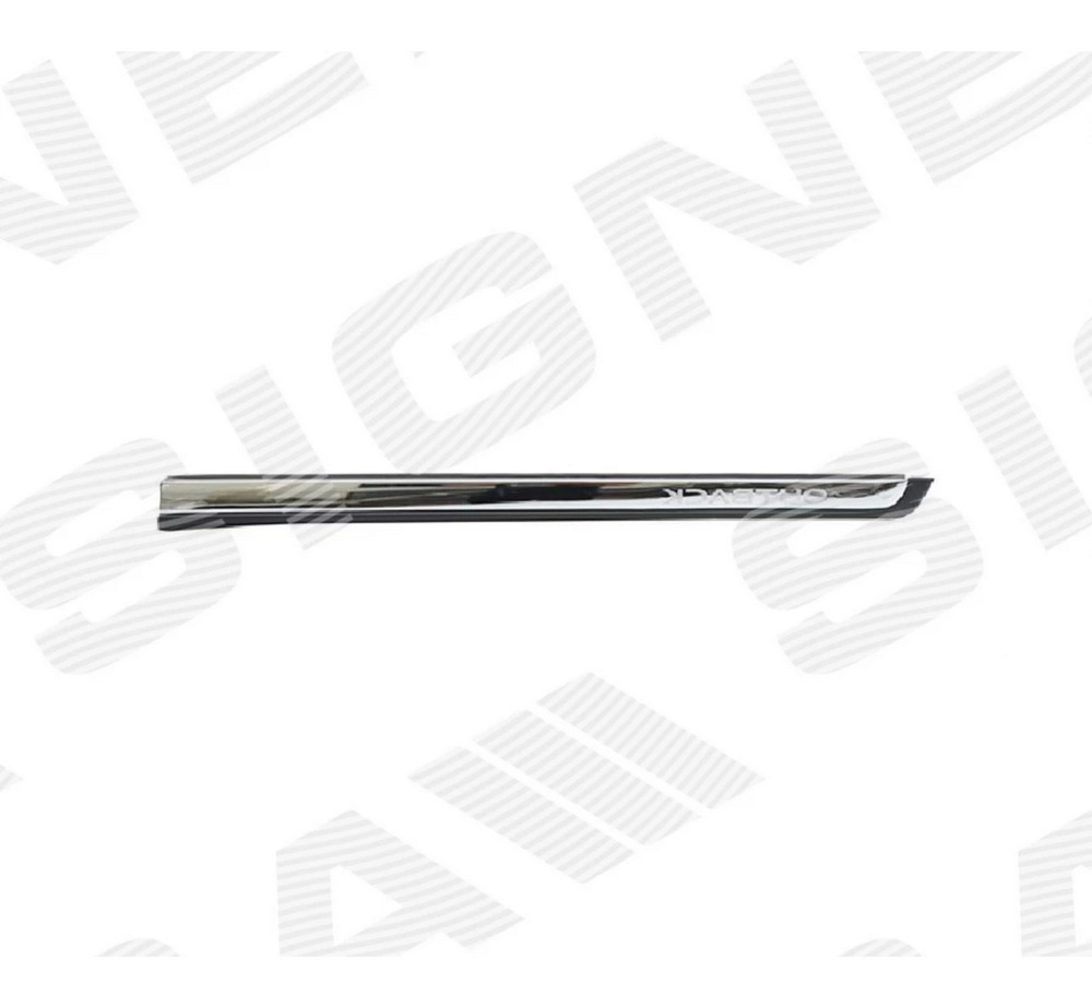 Молдинг на дверь для Subaru Outback (BS) Молдинг на дверь для Subaru Outback (BS)
